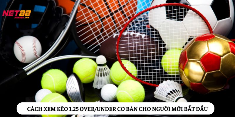 Hướng dẫn cách đọc kèo 1.25 chi tiết chi tân binh