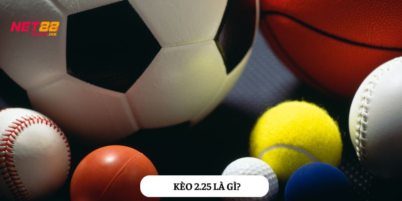 Bạn đã biết gì về kèo cược này chưa?
