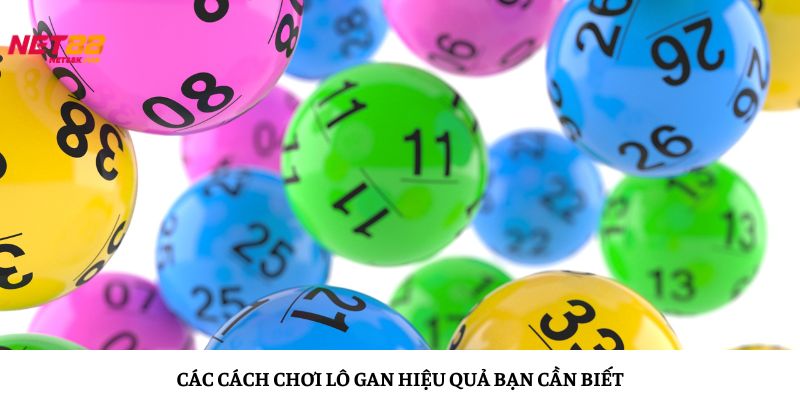 Phân tích bảng thống kê 100 ngày giúp chọn chính xác số gan tiềm năng