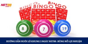 Hướng Dẫn Nuôi Lô Khung 3 Ngày NET88 : Bùng Nổ Lợi Nhuận