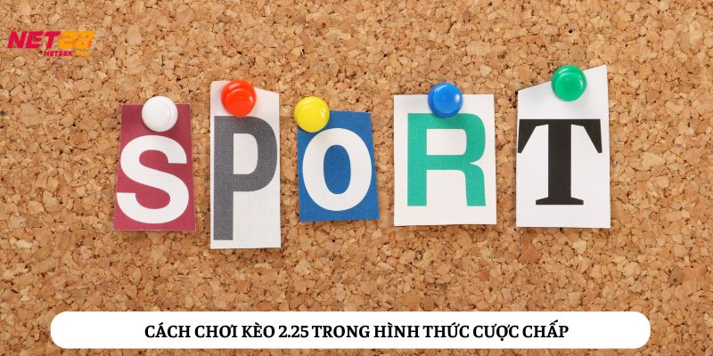 Hướng dẫn chi tiết cách đọc kèo 2.25 trong cược chấp thể thao 