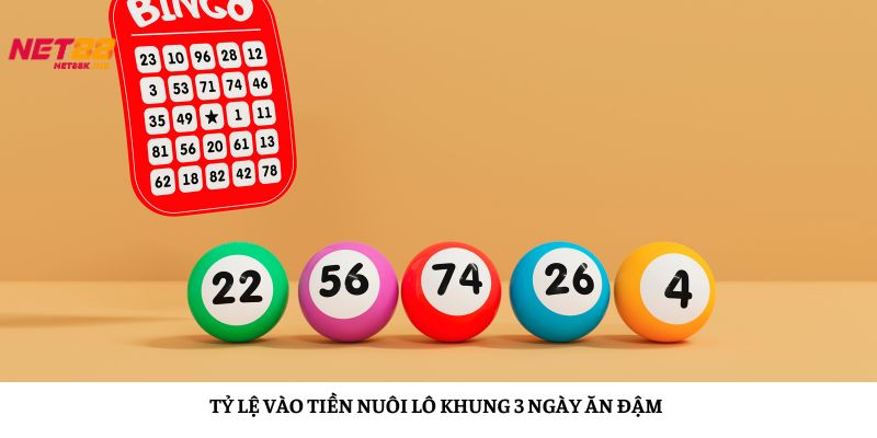 Áp dụng quy tắc 1:3:8 giúp bạn phân bổ vốn thông minh khi nuôi lô khung 3 ngày