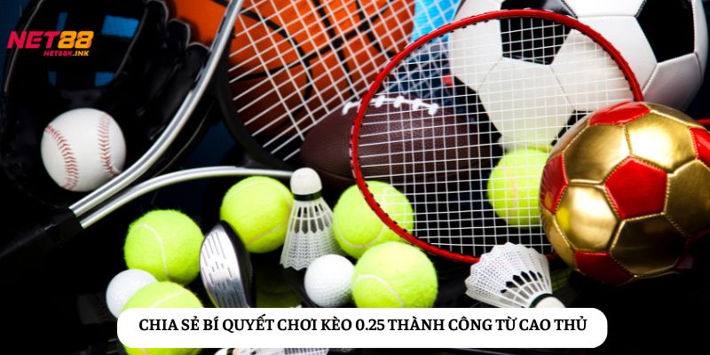 Theo dõi biến động bảng kèo liên tục để nắm bắt thời cơ đặt cược