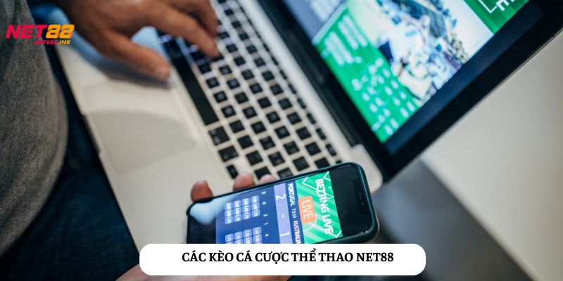 Thể thao NET88 cung cấp các kèo cược hấp dẫn